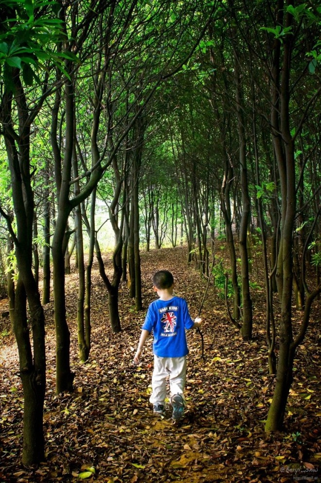 Boy in woods-1